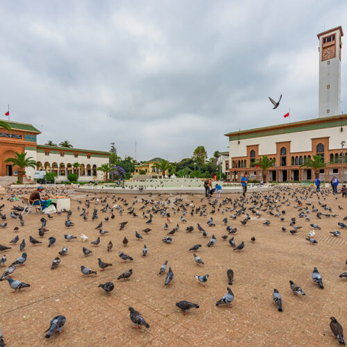 Casablanca 