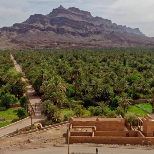 Draa Valley - Zagora