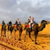 morocco desert tours