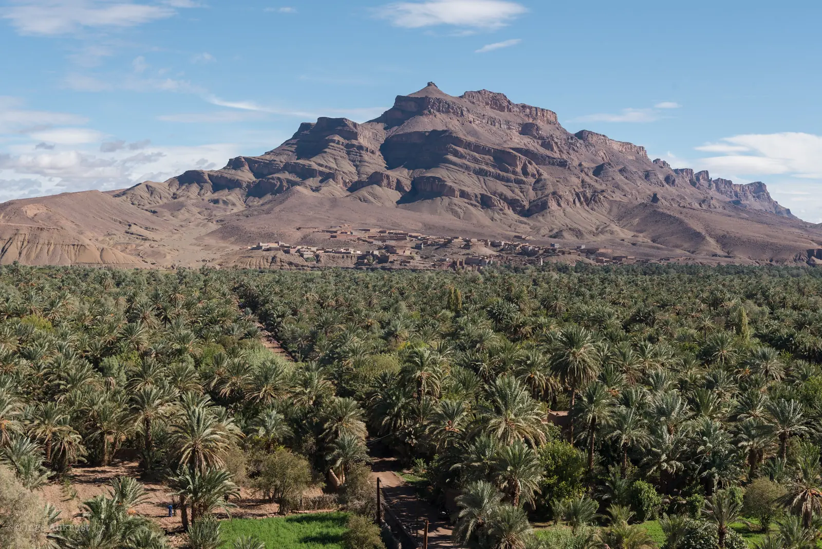 Draa Valley palm groves — donkey rides for kids