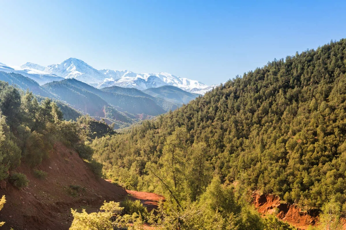 Snow-capped High Atlas mountains in winter